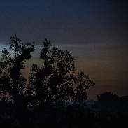 <font class="tempImageTitleThumbText">Noctilucent Clouds</font><br>Marek Nikodem<br>Jun 26 5:43am<br>near Szubin, Poland