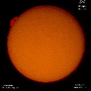 <font class="tempImageTitleThumbText">Huge Solar Prominence</font><br>Mariano Ribas<br>Oct 20 5:05am<br>Buenos Aires, Argentina