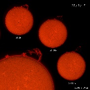 <font class="tempImageTitleThumbText">Huge Solar Prominence</font><br>Mariano Ribas<br>May 17 5:43pm<br>Buenos Aires, Argentina