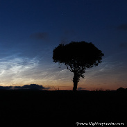 <font class="tempImageTitleThumbText">Fairy Tree & Alien NLCs</font><br>Martin McKenna<br>Jul 13 12:24pm<br>Beaghmore , N. Ireland
