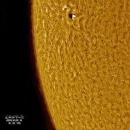 <font class="tempImageTitleThumbText">Solar Limb With AR2740 & Prominences In H</font><br>Martin R Wise<br>May 5 2:19pm<br>Trenton, Florida, USA
