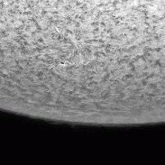 <font class="tempImageTitleThumbText">Prominence Lift Off Near AR2739</font><br>Martin R Wise<br>Apr 20 6:18pm<br>Trenton, Florida, USA