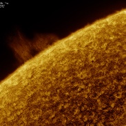 <font class="tempImageTitleThumbText">Prominence & Spicules</font><br>Martin R Wise<br>Apr 29 5:47pm<br>Trenton, Florida, USA