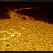 <font class="tempImageTitleThumbText">Huge Proms Near AR2998!</font><br>Martin Wise<br>Apr 25 5:14pm<br>Trenton, Florida