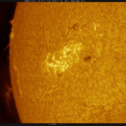 <font class="tempImageTitleThumbText">AR3182 With Proms At Limb In High Res HA</font><br>Martin Wise<br>Jan 9 12:58am<br>Trenton, Florida, USA