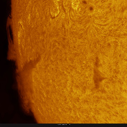 <font class="tempImageTitleThumbText">AR3184 & Filaprom In HA</font><br>Martin Wise<br>Jan 11 7:58pm<br>Trenton, Florida, USA