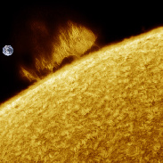 <font class="tempImageTitleThumbText">Todays Large Solar Prominences!</font><br>Martin Wise<br>Oct 15 9:12pm<br>Trenton, Florida, USA