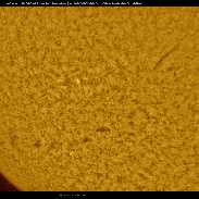 <font class="tempImageTitleThumbText">Prominence, Plage, Filaments & Spicules</font><br>Martin Wise<br>Feb 11 8:33pm<br>Trenton, Florida