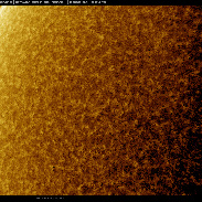 <font class="tempImageTitleThumbText">Solar Prominences In HA</font><br>Martin Wise<br>Aug 24 6:53pm<br>Trenton, Florida, USA