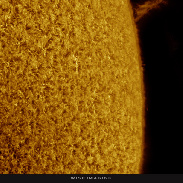 <font class="tempImageTitleThumbText">Solar Prominences In HA!</font><br>Martin Wise<br>Mar 2 10:38pm<br>Trenton, Florida, USA