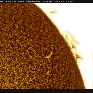 <font class="tempImageTitleThumbText">Todays Solar Proms In HA!</font><br>Martin Wise<br>Feb 9 5:45pm<br>Trenton, Florida, USA