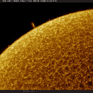<font class="tempImageTitleThumbText">Prominences On The Solar Limb</font><br>Martin Wise<br>Sep 6 4:16pm<br>Trenton, Florida, USA