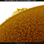 <font class="tempImageTitleThumbText">Big Juicy Prominence!</font><br>Martin Wise<br>Mar 7 4:36pm<br>Trenton, Florida, USA