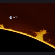 <font class="tempImageTitleThumbText">Huge Prominences On The Limb!</font><br>Martin Wise<br>Apr 23 11:26pm<br>Trenton, Florida, USA