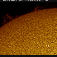 <font class="tempImageTitleThumbText">Solar Prominences, Plages And Filament!</font><br>Martin Wise<br>Feb 8 5:09pm<br>Trenton, Florida, USA