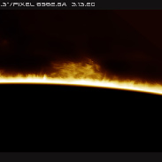 <font class="tempImageTitleThumbText">High Resolution Prominences And Spicules </font><br>Martin Wise<br>Mar 13 4:14pm<br>Trenton, Florida, USA