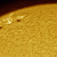 <font class="tempImageTitleThumbText">Flare & Sure Prom In AR2993 & AR2994</font><br>Martin Wise<br>Apr 17 10:40pm<br>Trenton, Florida