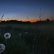 <font class="tempImageTitleThumbText">Noctilucent Clouds</font><br>Matti Helin<br>May 30 4:14am<br>Southern Finland