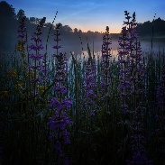 <font class="tempImageTitleThumbText">Noctilucent Clouds</font><br>Matti Helin<br>Jul 10 12:17pm<br>Southern Finland