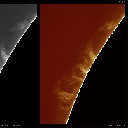 <font class="tempImageTitleThumbText">Large Proms On The Suns Limb</font><br>Maximilian Teodorescu<br>Sep 14 11:27am<br>Magurele, Romania