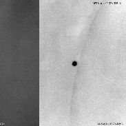 <font class="tempImageTitleThumbText">Lunar Occultation Of Venus During Daytime</font><br>Maximilian Teodorescu<br>Apr 6 10:24am<br>Dumitrana, Romania