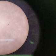 <font class="tempImageTitleThumbText">Mercury Transit, 2016</font><br>Methyl Mercury<br>May 9 6:25pm<br>La Jolla, CA