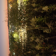 <font class="tempImageTitleThumbText">Comet Tsuchinshan-Atlas</font><br>Michael B<br>Oct 16 12:54am<br>Madison Wi