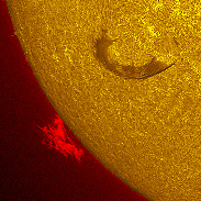 <font class="tempImageTitleThumbText">The Sun With Prominences In H-alpha</font><br>Michael Borman<br>Aug 12 3:55pm<br>Evansville, Indiana, USA