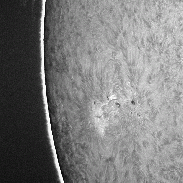 <font class="tempImageTitleThumbText">AR 4105 And Prominence</font><br>Michael Jaeger<br>Jun 5 12:01pm<br>AZM Martinsberg Austria