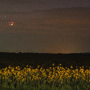 <font class="tempImageTitleThumbText">Conjunction Of Mercury And The Moon</font><br>Michal Lachký<br>May 3 6:06am<br>Šurany Slovakia
