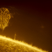 <font class="tempImageTitleThumbText">Large Solar Mammoth Shape Prominence In M</font><br>Miguel Claro<br>Feb 4 8:58pm<br>Dark Sky® Alqueva, Portugal