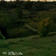 <font class="tempImageTitleThumbText">COMET TSUCHINSHAN-ATLAS</font><br>Mihai<br>Oct 14 5:32pm<br>Bucuresti, Romania