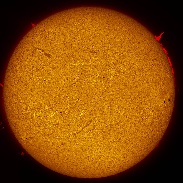 <font class="tempImageTitleThumbText">Departing Sunspot 1944 And Prominences</font><br>Mike Borman<br>Jan 20 5:55pm<br>Evansville, Indiana, USA