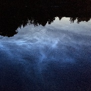 <font class="tempImageTitleThumbText">Noctilucent Clouds</font><br>Mike Chapman <br>Jun 10 5:41pm<br>Brookings, Oregon, USA
