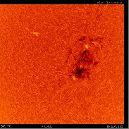 <font class="tempImageTitleThumbText">Large AR And Proms In H-Alpha</font><br>Mike Taormina<br>Aug 22 11:20pm<br>Ballston Lake, New York, USA