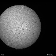 <font class="tempImageTitleThumbText">Solar Disk & Prominences</font><br>Mike Taormina<br>May 14 1:38am<br>Malta, New York, USA