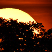 <font class="tempImageTitleThumbText">Partial Annular Solar Eclipse </font><br>Milo Khey<br>Jun 10 12:18pm<br>Maryland, USA.