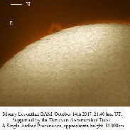 <font class="tempImageTitleThumbText">Prominence</font><br>Monty Leventhal OAM<br>Oct 15 12:25am<br>Sydney, Australia.