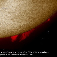 <font class="tempImageTitleThumbText">Prominence</font><br>Monty Leventhal OAM<br>Apr 1 3:37am<br>Sydney Australia
