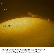 <font class="tempImageTitleThumbText">Prominence</font><br>Monty Leventhal OAM<br>Dec 8 1:51am<br>Sydney. Australia