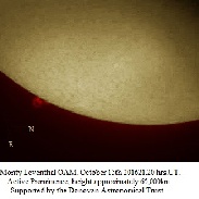 <font class="tempImageTitleThumbText">Active Prominence</font><br>Monty Leventhal OAM<br>Oct 16 10:48pm<br>Sydney. Australia