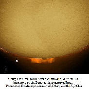 <font class="tempImageTitleThumbText">Prominence & Filament</font><br>Monty Leventhal OAM<br>Oct 19 8:47am<br>Sydney, Australia.