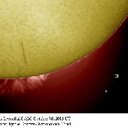 <font class="tempImageTitleThumbText">Prominence</font><br>Monty Leventhal OAM<br>Oct 8 8:50am<br>Sydney. Australia.