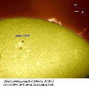 <font class="tempImageTitleThumbText">Prominences & Filament</font><br>Monty Leventhal OAM<br>Oct 16 4:01am<br>Sydney. Australia.
