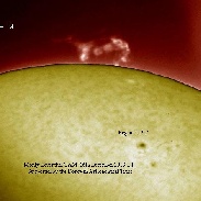 <font class="tempImageTitleThumbText">Prominence</font><br>Monty Leventhal OAM<br>Dec 17 6:42am<br>Sydney. Australia