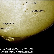 <font class="tempImageTitleThumbText">Prominence</font><br>Monty Leventhal OAM<br>May 10 7:17am<br>Sydney. Australia.