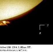 <font class="tempImageTitleThumbText">Hedgerow Prominence</font><br>Monty Leventhal OAM<br>Oct 16 10:46pm<br>Sydney. Australia.
