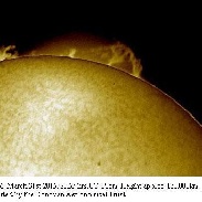 <font class="tempImageTitleThumbText">Active Prominence</font><br>Monty Leventhal OAM<br>Apr 1 6:08am<br>Sydney Australia