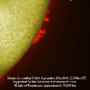 <font class="tempImageTitleThumbText">Prominence</font><br>Monty Leventhal OAM<br>Sep 29 2:48am<br>Sydney. Australia