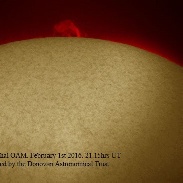 <font class="tempImageTitleThumbText">Prominence</font><br>Monty Leventhal OAM<br>Feb 3 9:37pm<br>Sydney. Australia
